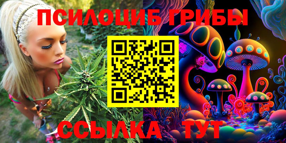 Ижевск  Псилоцибиновые грибы Cubensis  Вход с VPN  даркнет сайт  Псилоцибиновые грибы Cubensis 